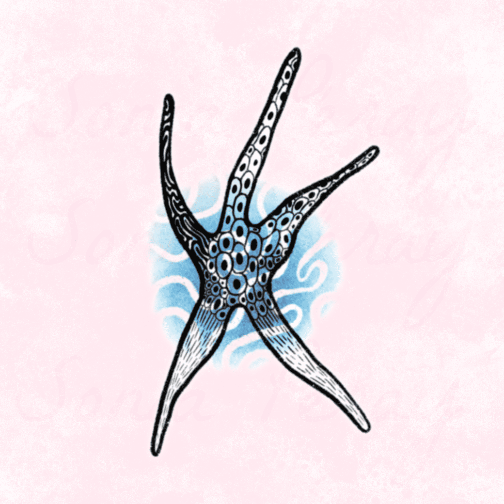 flash tattoo couleur étoile de mer avec motif et aquarelle